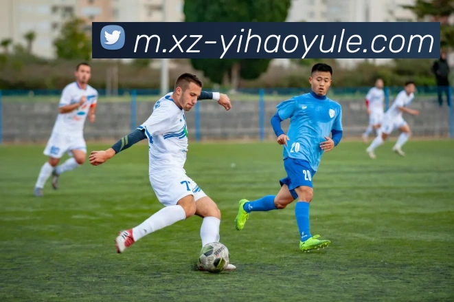 壹号娱乐服务体系